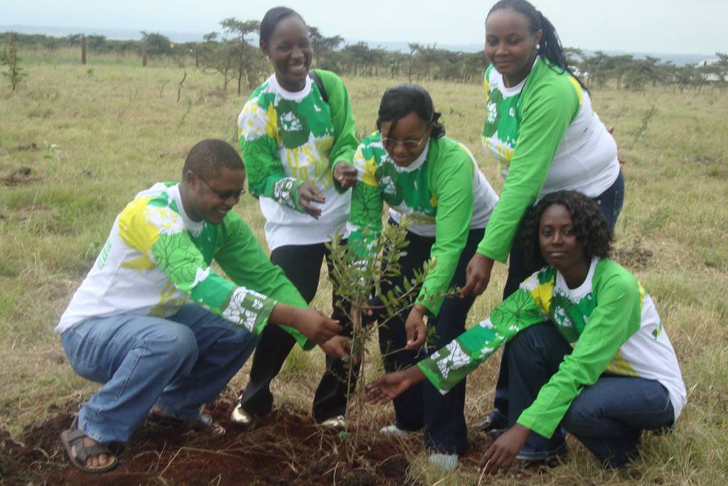 Tree Planting